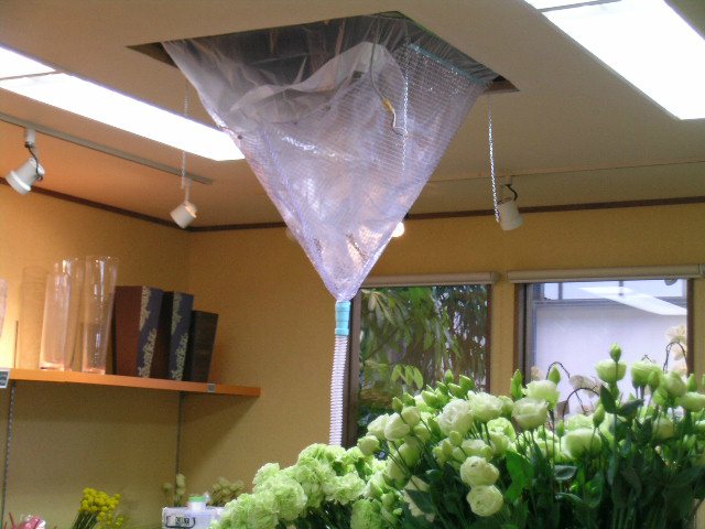 お花屋さんでバラに囲まれて天井埋め込み型エアコンクリーニング